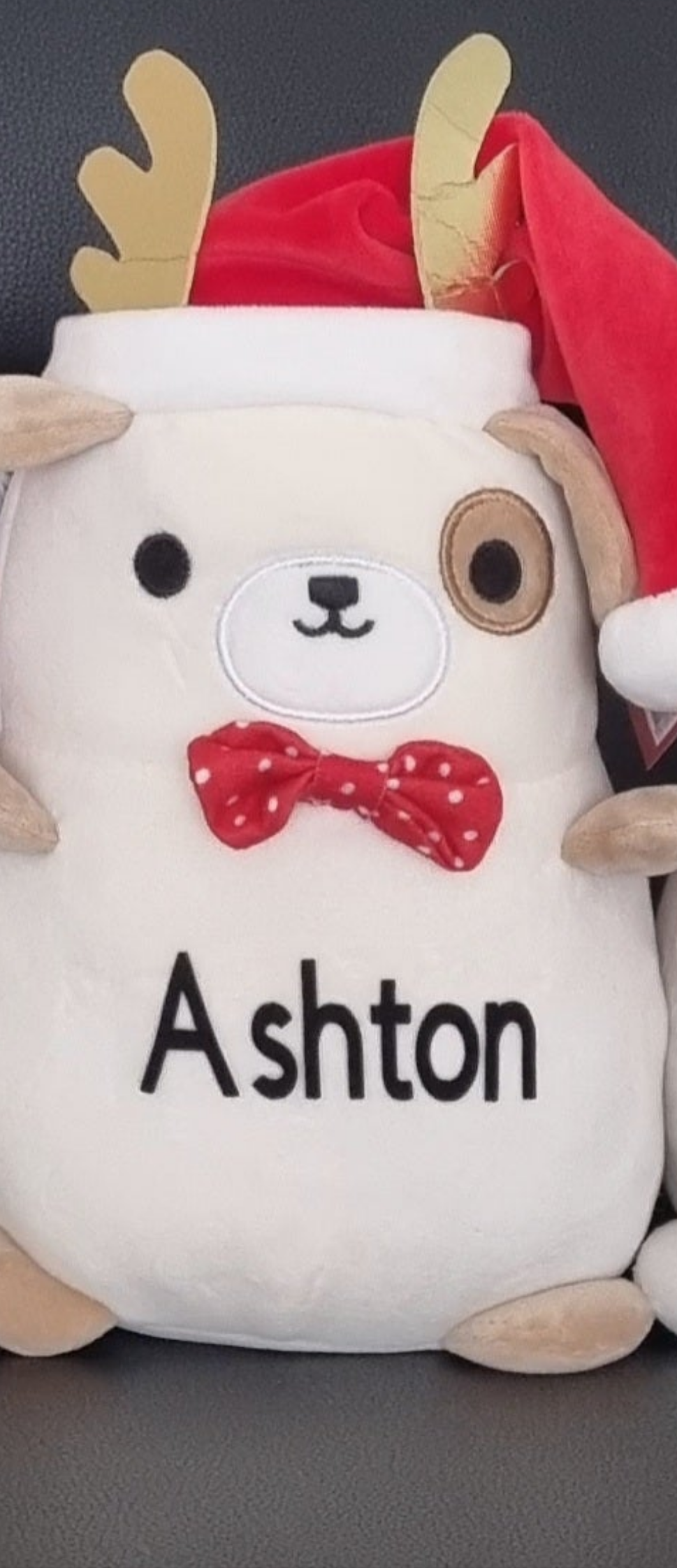 Personalised Christmas Puppy